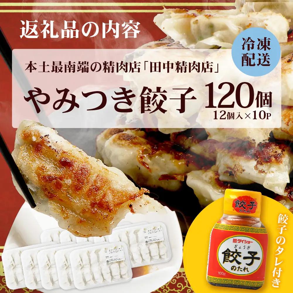 《リピーター続出！》佐多の田中肉屋 ニンニクたっぷりやみつき餃子 120個（12個入り×10パック） 餃子のタレ付き TA-402 | ぎょうざ 餃子 ギョウザ 豚肉 ひき肉 にんにく スタミナ餃子 