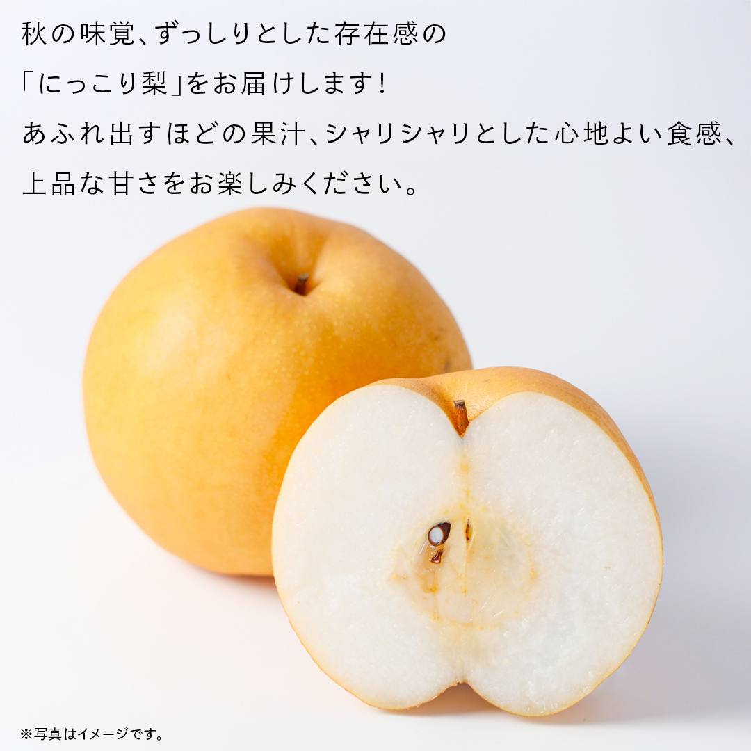 にっこり 梨 3kg （4～5玉）【2026年10月より発送開始】（茨城県共通返礼品 [梨]：大子町産） なし 旬 お取り寄せ フルーツ 甘い ジューシー 和梨 時期 [FC14-NT]_イメージ2