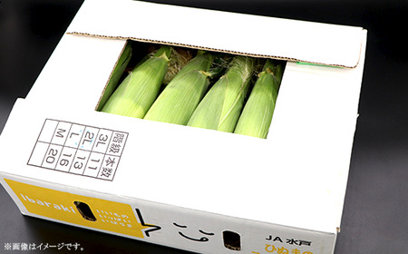 324 とうもろこし ドルチェドリーム 約5kg 11～13本 朝採れ バイカラー 黄 白 茨城 先行予約 2026年7月頃～発送予定