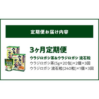 ふるさと納税 小牧市 【3ヶ月連続定期便】ウラジロガシ茶&ウラジロガシ 流石粒　[027Y32-T] |  | 02