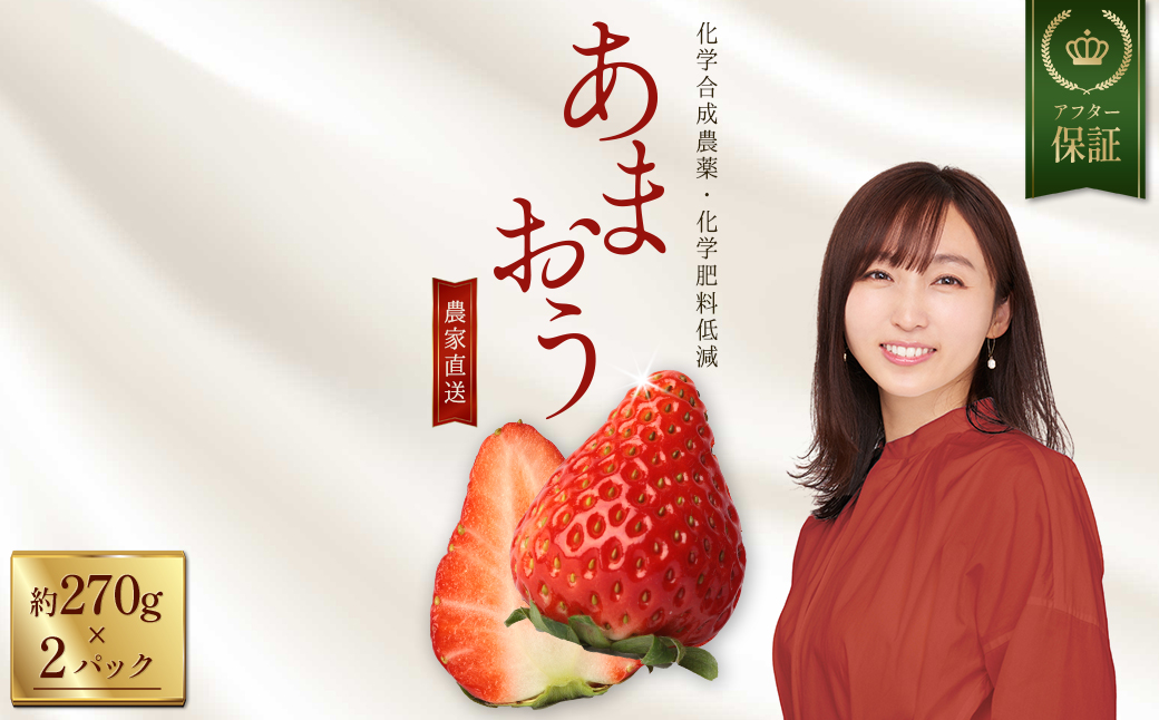 特別栽培 農家直送 あまおう 約270ｇ前後×2パック【数量限定】 3W30