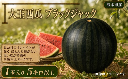 ＜ R8年熊本地震復興支援 ＞熊本市産 大玉西瓜 ブラックジャック 1玉入り 5キロ以上 スイカ すいか 西瓜 果物 くだもの フルーツ 大玉 果実 果肉 高級 国産 熊本県産 【 2027年5月上旬から6月下旬発送予定 】