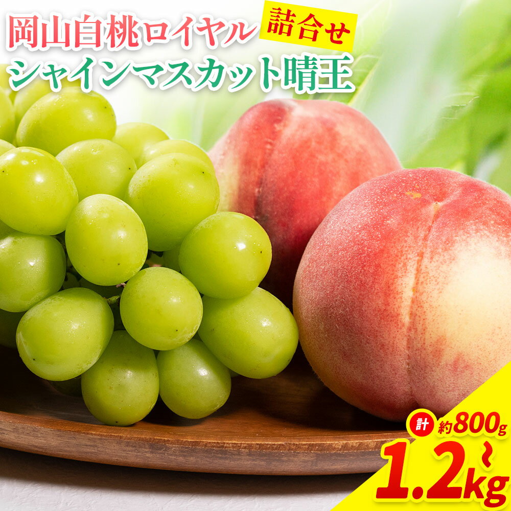 【ふるさと納税】【2026年先行予約】岡山県産 岡山白桃 ロイヤル L~ 3Lサイズ シャインマスカット 選べる 計 800g 1kg 1.2kg 詰合せ 株式会社 はちや《2026年7月上旬‐8月下旬頃出荷》もも 岡山 国産 フルーツ 果物 岡山県 浅口市 フルーツ モモ 果物【配送不可地域あり】