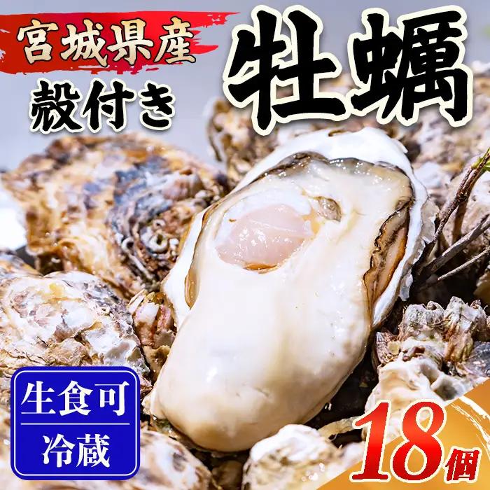 殻付き牡蠣（生食用）冷凍18個（約1.5kg） 生牡蠣 宮城県産 牡蛎 牡蠣 カキ かき 生食 オイスター カキフライ 牡蠣鍋 海鮮 国産 魚貝類 バーベキュー BBQ 【末永海産株式会社】sh166
