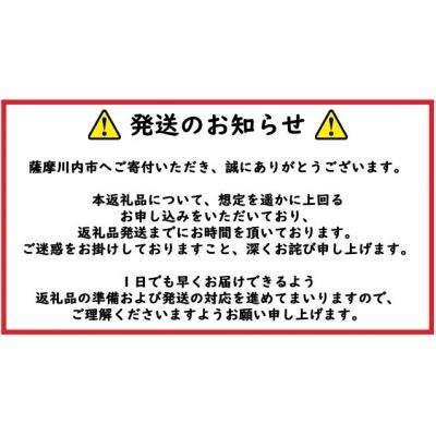 ふるさと納税 薩摩川内市 鹿児島県産黒豚ステーキハンバーグ3個入り　ZS-623 |  | 02
