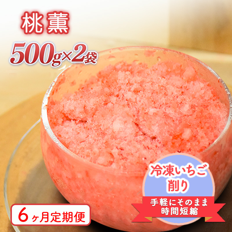 削りいちこ゛桃薫500g×2袋 6ヶ月定期便 冷凍 イチゴ 苺 果物 フルーツ 新潟 苺の花ことば