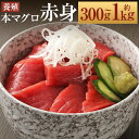 【ふるさと納税】長崎県産 本マグロ 赤身 約300g/約500g/約800g/約1kg 選べる内容量【大村湾漁業協同組合】