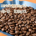 【ふるさと納税】C-10 カフェ・フランドル厳選コーヒー豆　ニカラグア産(100g×2)ペルー産(100g×2)