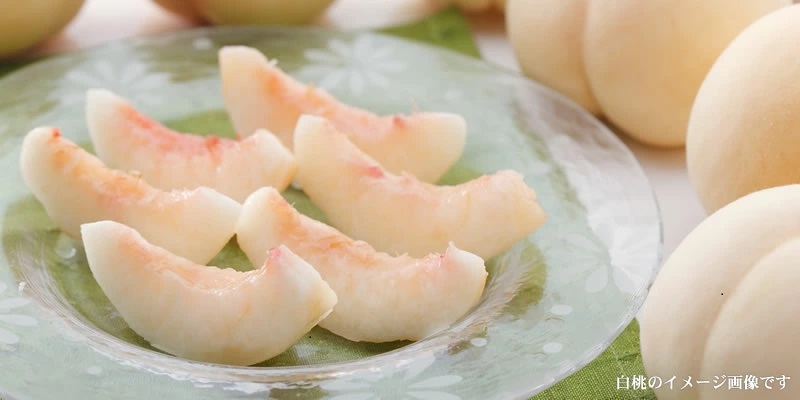 和歌山の桃 秀品 [約3.8～4kg] (サイズ・品種おまかせ) ※2026年6月中旬～2026年8月中旬頃に順次発送予定　紀伊国屋文左衛門本舗 和歌山 もも モモ 桃 果物 フルーツ 人気 産地直送
