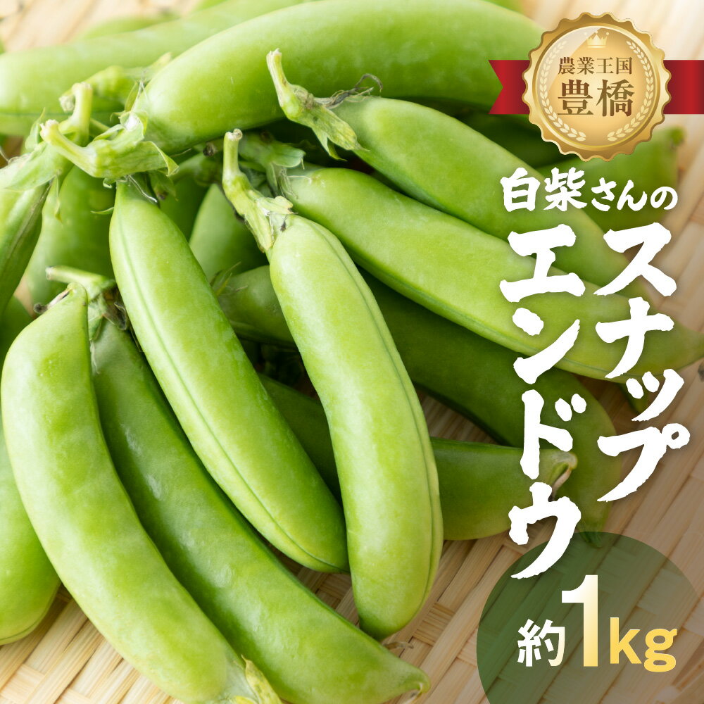 【ふるさと納税】≪先行予約≫スナップエンドウ 約1kg 産地直送 スナップ スナックエンドウ エンドウ 豆 サラダ 美味しい 料理 野菜 健康 栄養 簡単 農家直送 1キロ 高糖度 糖度 1万円 10000円 愛知県 豊橋市