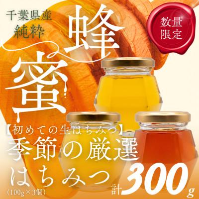 ふるさと納税 大網白里市 千葉県産「厳選純粋はちみつ」100g×3個【ランダムにセレクト】