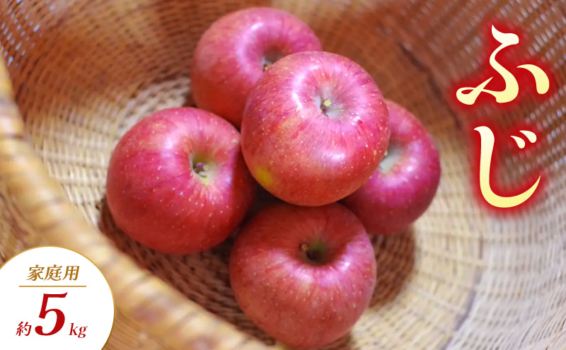 ふじ 家庭用 約5kg りんご リンゴ 林檎 果物 フルーツ 長野県 長野 山ノ内町