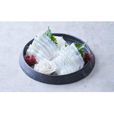 ふるさと納税 陸前高田市 【スライス済】 国産ムラサキイカスライス 120g(20枚)×5パック 冷凍 小分け 刺身 |  | 01