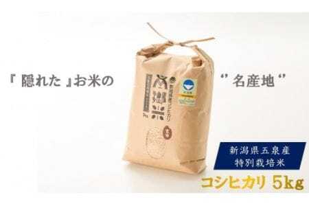 令和7年産 特別栽培 コシヒカリ 南郷米 玄米 5kg