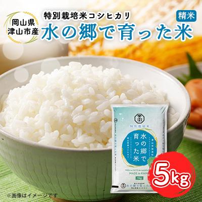ふるさと納税 津山市 【岡山県津山市加茂町産】水の郷で育った米5kg(特別栽培米コシヒカリ)