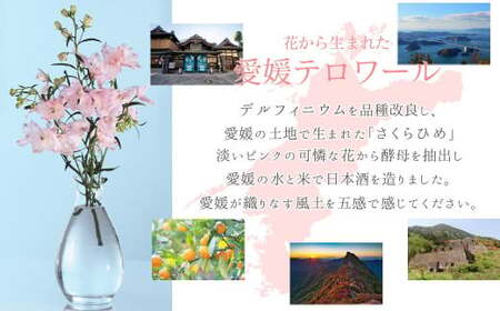 日本酒 清酒 愛媛 花酵母 さくらひめシリーズ 華姫桜 純米大吟醸酒 さくらひめ 720ml ×2本 セット 箱入り ギフト 近藤酒造