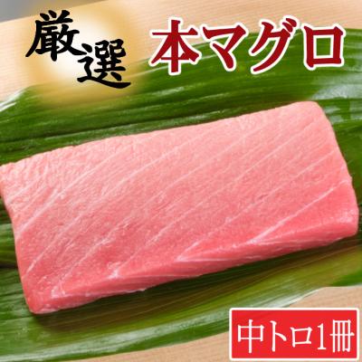 ふるさと納税 室戸市 厳選本マグロ中トロ1柵【誉丸】