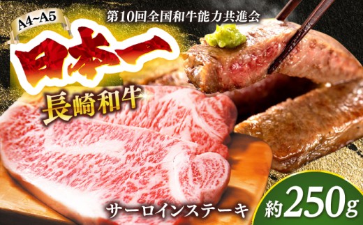 【A4～A5】長崎和牛サーロインステーキ　250g（250g×1枚）【株式会社 MEAT PLUS】 [DBS013]長崎和牛 和牛 国産 牛肉  長崎和牛 サーロイン ステーキ 250g 1万円 以上
