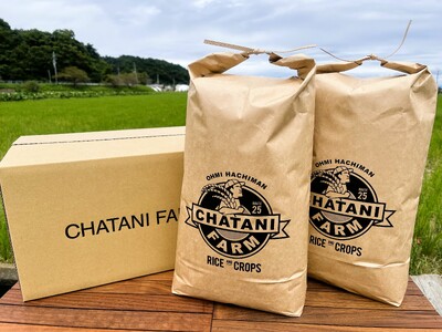 【7年産】近江米 コシヒカリ 白米 20kg 【V016W】 近江米 こしひかり