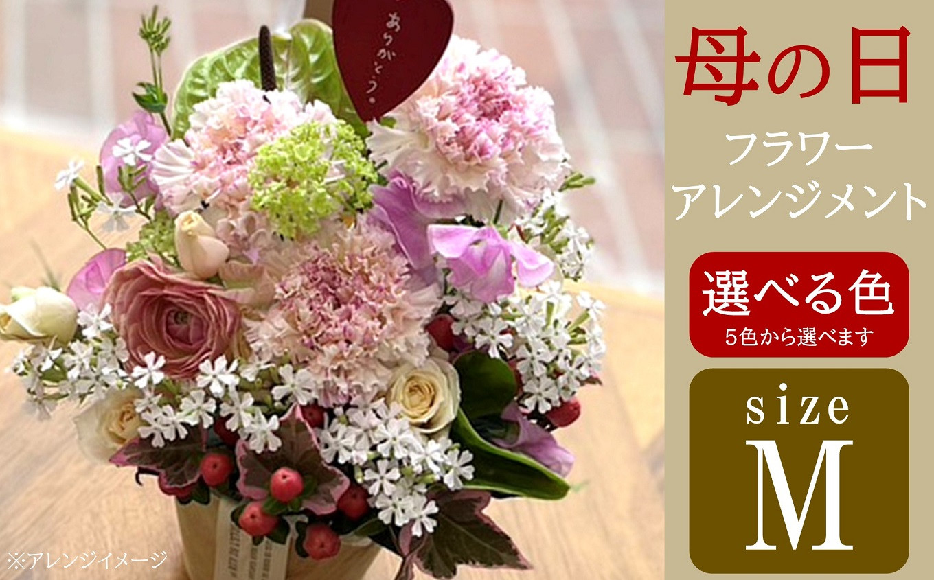 
                  【母の日ギフト 5/7～8出荷】カラー選べるフラワーアレンジメント（生花） Mサイズ レギュラーサイズ 母の日までにお届け メッセージピック付き[Y0479]
                