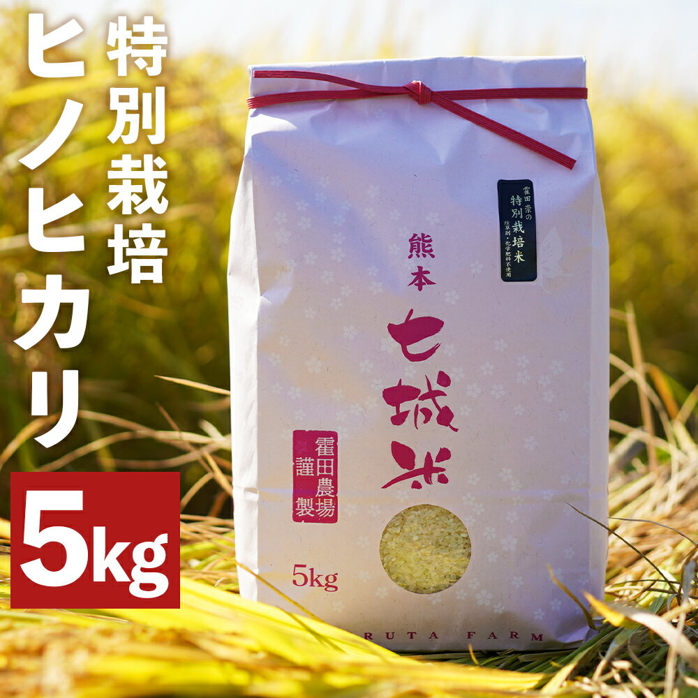 【ふるさと納税】つるたファームの極ヒノヒカリ 5kg 白米 精米 お米 令和7年産 熊本県産 九州産 送料無料 【2025年11月上旬より発送開始予定】新米 白米 精米 菊池市産 お米