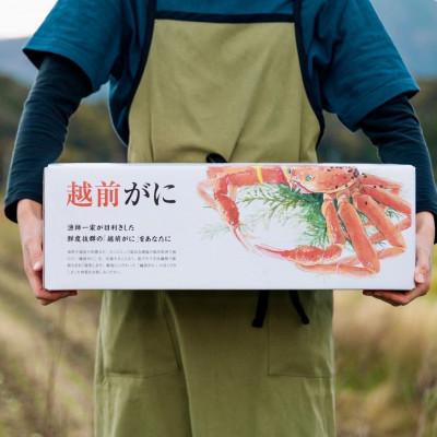 ふるさと納税 美浜町 《越前がに》はるか丸が厳選“訳あり”【約800g〜900g1杯】とれたて!冷蔵でお届け! |  | 01