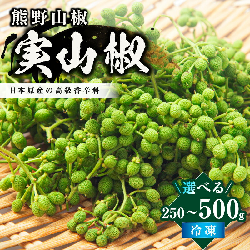 【ふるさと納税】【国産】文恵丸水産 実山椒 250g 500g 選べる 容量 │ 山椒 熊野山椒 さんしょう 冷凍 調味料 香辛料 スパイス 薬味 産地直送