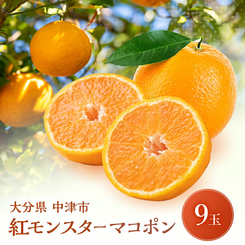 【ふるさと納税】【数量限定】 紅モンスター マコポン9玉 | フルーツ 果物 くだもの 果実 柑橘 柑橘類 まこぽん マコポン オレンジ ゼリーオレンジ 不知火 国産 中津市産 産地直送 大分県 中津市 送料無料【発送は2025年12月10日～2026年1月31日頃までの予定】