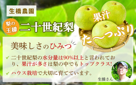【先行予約・数量限定】ハウス二十世紀梨 3kg【鳥取県産】（生橋農園）梨 鳥取 3kg 果物 フルーツ 和梨 先行予約 数量限定 詰め合わせ 二十世紀梨 20世紀梨 人気 甘い