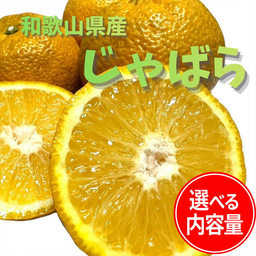 【ふるさと納税】【選べる内容量】 じゃばら 1～10kg | じゃばら 柑橘 フルーツ 果物 くだもの 食品 人気 おすすめ 送料無料