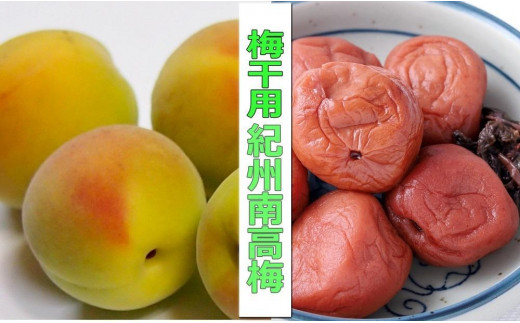 
                  ［梅干・梅酒用］（4Lまたは3L－2Kg）熟南高梅＜2027年6月上旬～7月中旬発送予定＞フルーツ 果物 くだもの 食品 人気 おすすめ 送料無料［ART10］
                