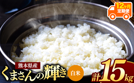 【定期便12回】令和7年産 新米 熊本県産 くまさんの輝き 白米 15kg | 小分け 5kg × 3袋 こめ 米 白米 ごはん 銘柄米 ブレンド米 単一米 人気 日本遺産 菊池川流域 こめ作り ごはん ふるさと納税 返礼品