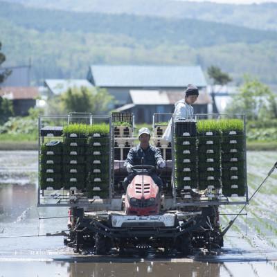 ふるさと納税 深川市 北海道産ゆめぴりか 栽培期間中農薬・化学肥料不使用 白米5kg |  | 01