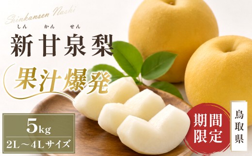 
                  鳥取県産 新甘泉梨　5kg
                