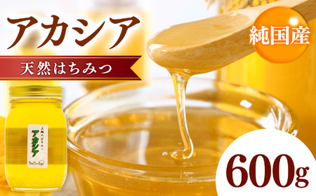 国産 はちみつ アカシアはちみつ 600g | 養蜂家 齊藤兄弟 Bee concierge ビーコンシェルジュ はちみつ 蜂蜜 ハチミツ 国産蜂蜜 アカシア蜂蜜 新鮮 国産 千葉県 君津市 君津 きみつ