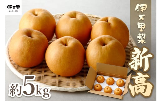【2025年産先行予約】伊万里梨「新高」 5kg 大型種 178-B162