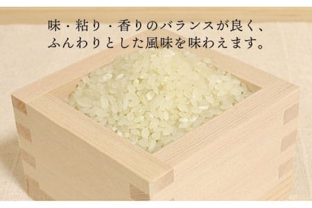糸島産ヒノヒカリ10kg 《糸島》【糸島王丸農園／谷口汰一】【いとしまごころ】 [AAZ014] 米 10kg 送料無料 白米 玄米 精米 分つき 山水 ヒノヒカリ お米