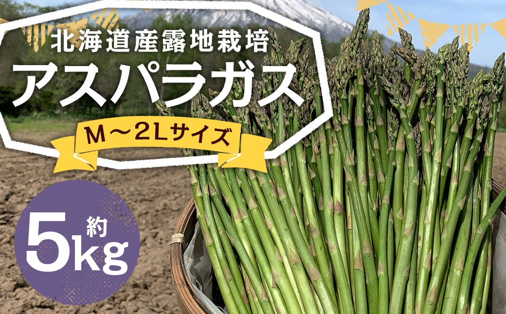 
            北海道産 露地栽培 アスパラガス M～2L 約5kg 【2026年5月下旬～6月上旬迄発送予定】 グリーンアスパラガス アスパラ 野菜 北海道 京極町 冷蔵
          