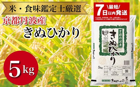 米 キヌヒカリ 5kg 米