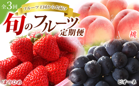 【2・7・9月 全3回】紀州和歌山産旬のフルーツセット（いちご・桃・ピオーネ）【UT95】【Z91152-tkb401】