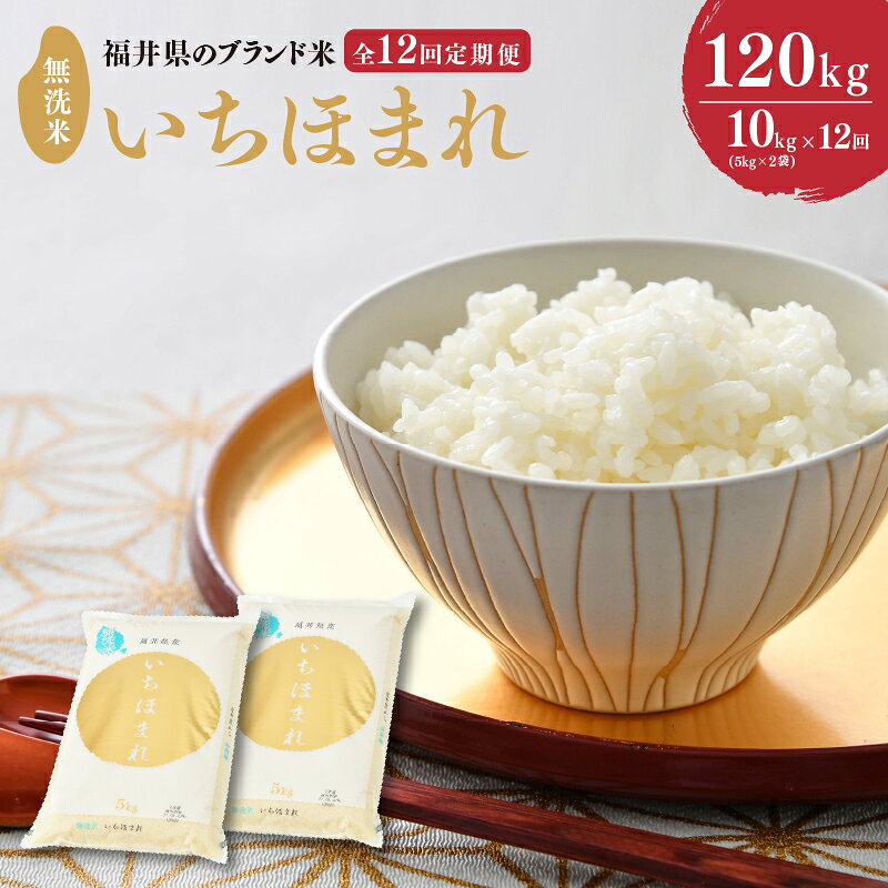 【ふるさと納税】【令和8年産】 定期便 ≪12ヶ月連続お届け≫ 福井県のブランド米 いちほまれ 無洗米 10kg × 12回 計120kg 【 無洗米 人気 品種 ブランド米 特A 】