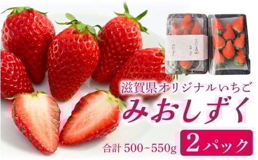 いちご（みおしずく）2パック [NN001] / 滋賀県 滋賀 大津市 フルーツ 果物 くだもの いちご 苺 イチゴ デザート イチゴ 苺 いちご