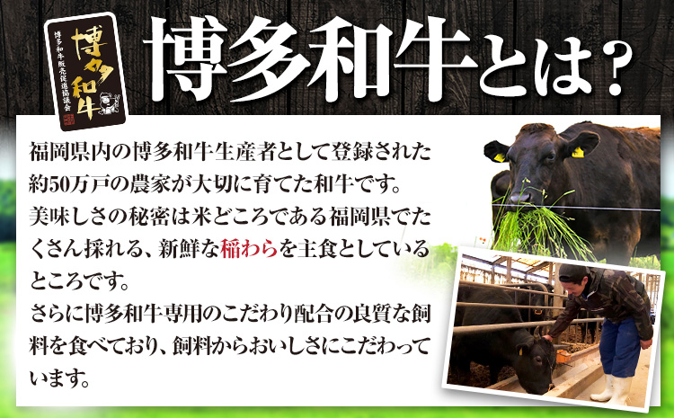 博多和牛 ヒレシャトーブリアンステーキ 600g 久田精肉店株式会社《30日以内に出荷予定(土日祝除く)》小竹町 博多和牛 牛肉 赤身 A5等級 厳選 シャトーブリアン ステーキ 国産 送料無料---