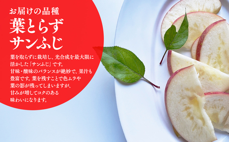 12月中旬～発送　 訳あり 葉取らずサンふじ約3kg(家庭用)【なるみ農園・青森りんご・平川市産・数量限定】