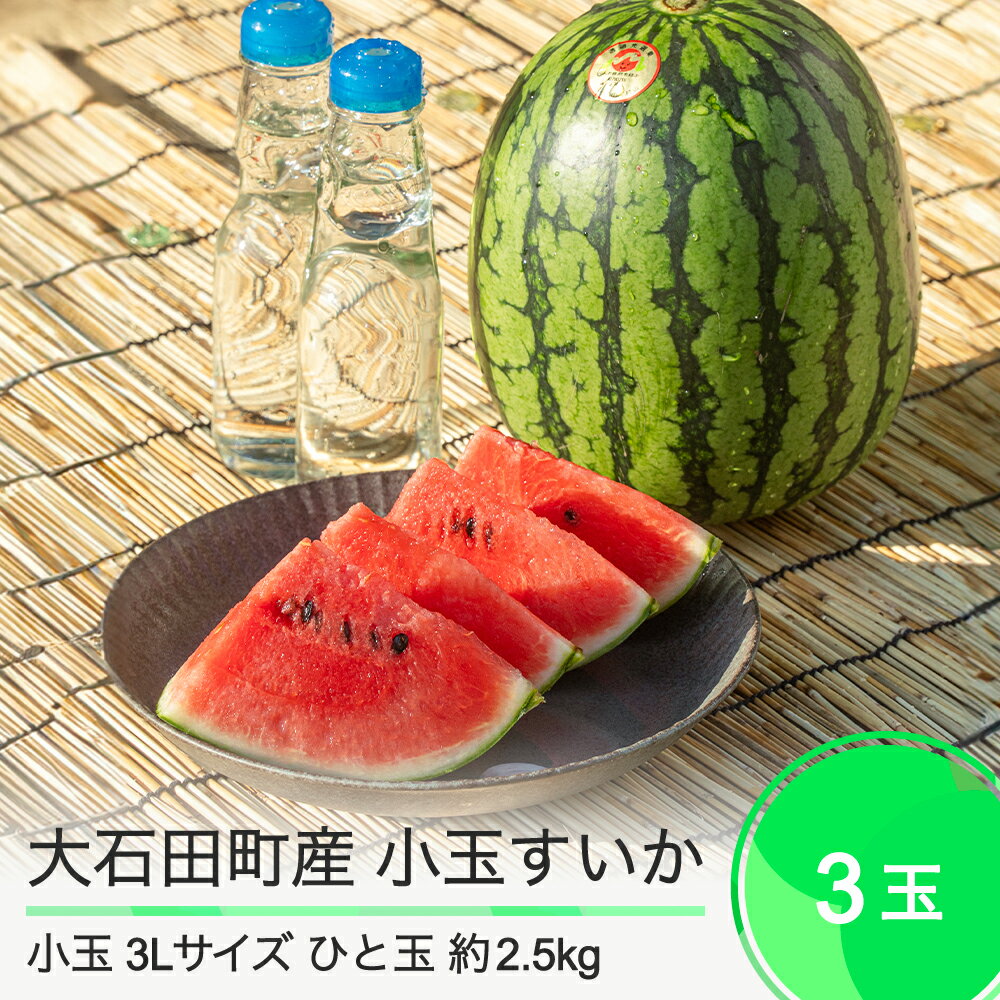 【ふるさと納税】小玉 すいか 3L×3玉入り 2025年産 令和7年産 ひとりじめ または ピノガール 送料無料 スイカ 大石田 ja-sukoa