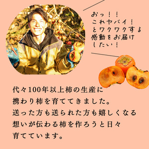 【 贈答用 富有柿 】 上田さんちの柿  | フルーツ くだもの 果物 柿 かき カキ  奈良県 五條市柿 奈良県 日本一の柿のまち 秋の味覚 自宅用 家庭用 特産品 