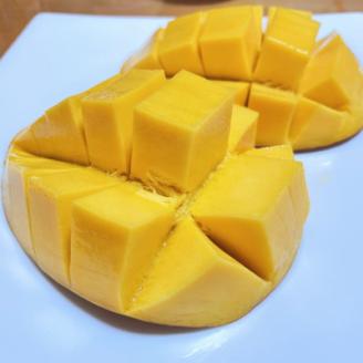 【希少マンゴー】濃厚玉文マンゴー　約800g(1～3玉入り)【配送不可地域：離島】