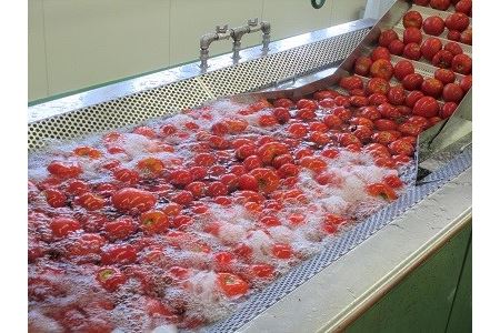 朝もぎ完熟トマトジュースあかずきんちゃん 1,000ml×6本 【A-02】