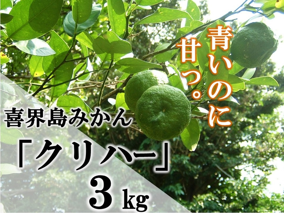 
            【数量限定】喜界島みかん『クリハー』３Kg【2025年10月から発送】
          