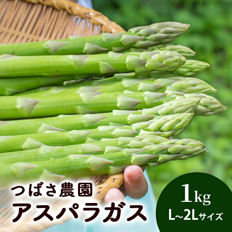 【ふるさと納税】アスパラガス L ～ 2L サイズ　1kg 芦別RICE つばさ農園 アスパラ グリーンアスパラ 旬 とれたて お取り寄せ 野菜 美味しい 新鮮 北海道 芦別市　お届け：2026年5月上旬より順次出荷